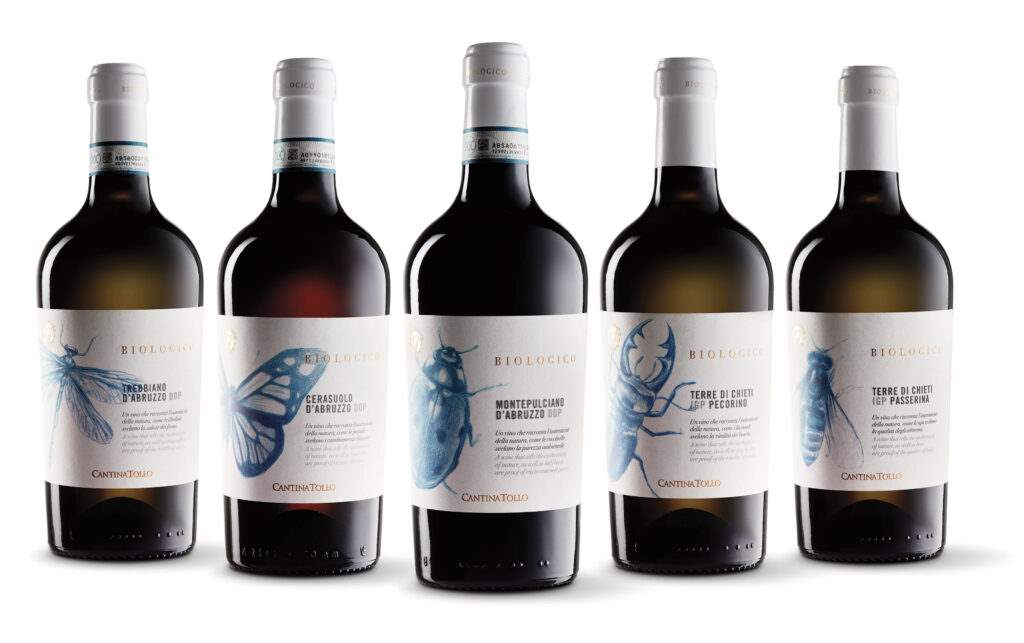 cantina tollo