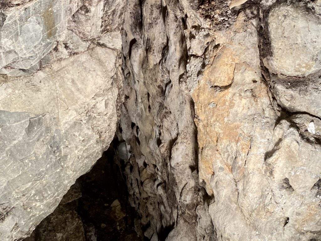 moscato di scanzo