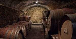 percarlo 2009-3