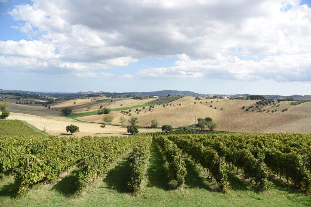 conti degli azzoni