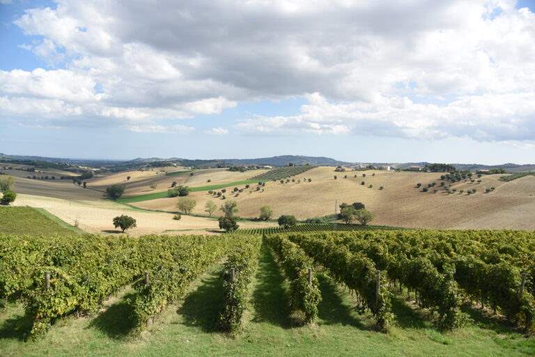 conti degli azzoni