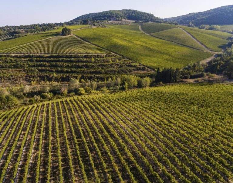 Tignanello