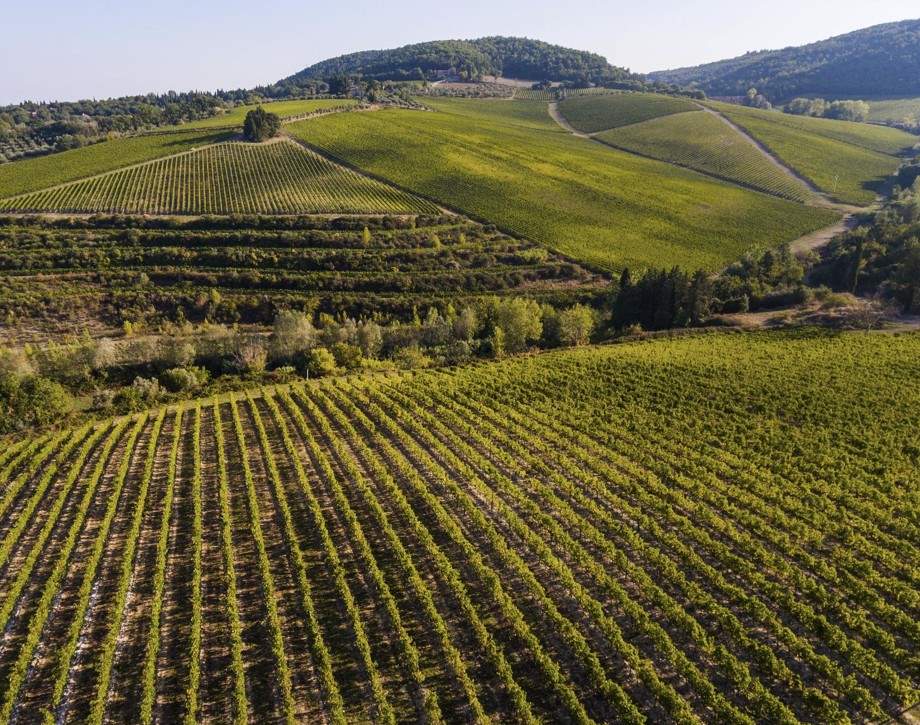 Tignanello