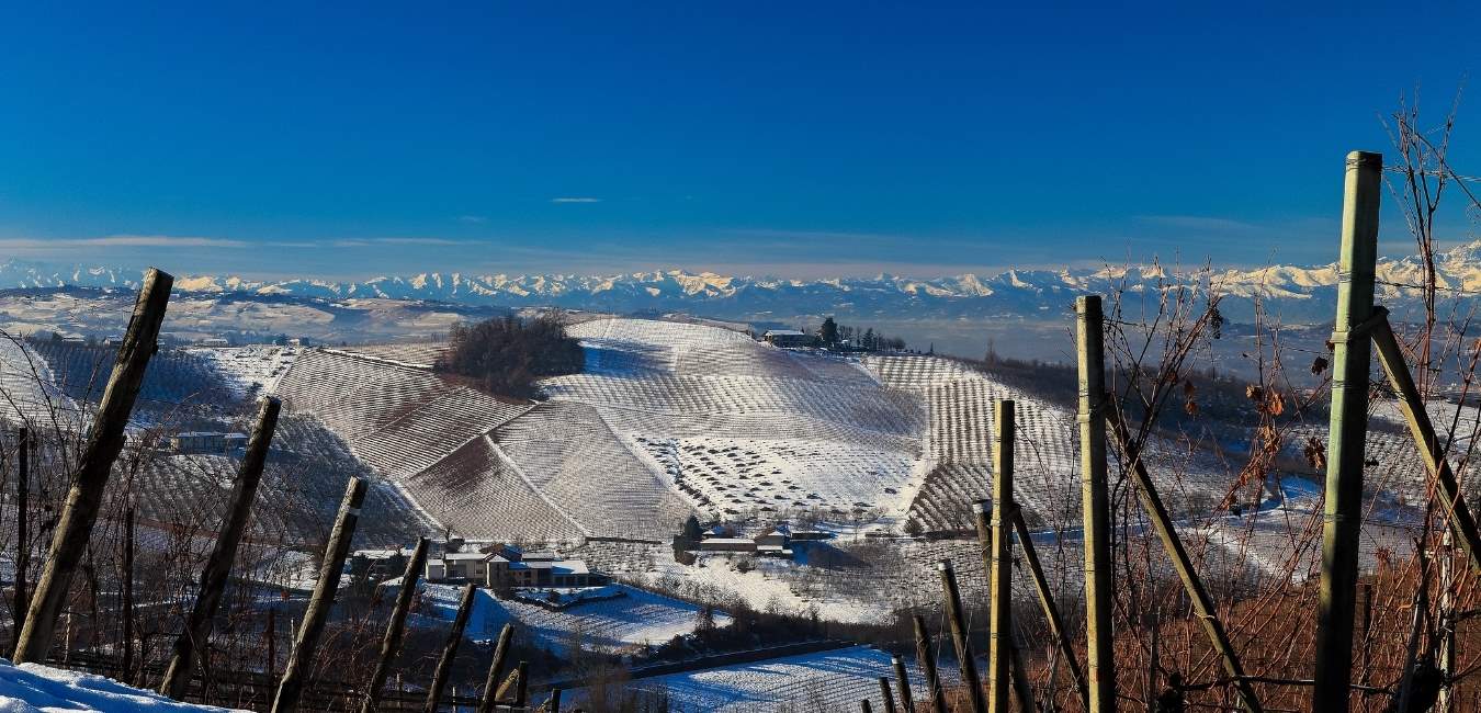 Cascina Trifulera 2017 Nebbiolo