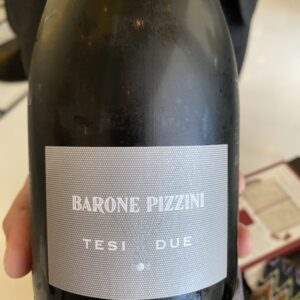 Tesi2_baronePizzini