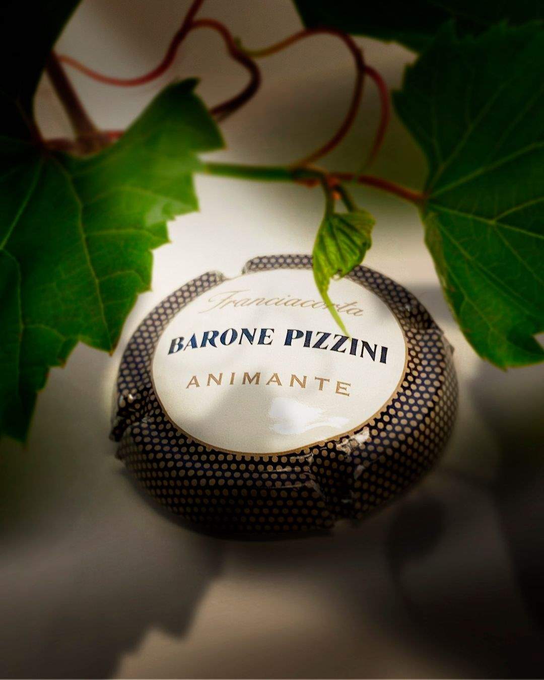 animante barone pizzini