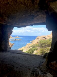 vini estate 2022 7_evidenza