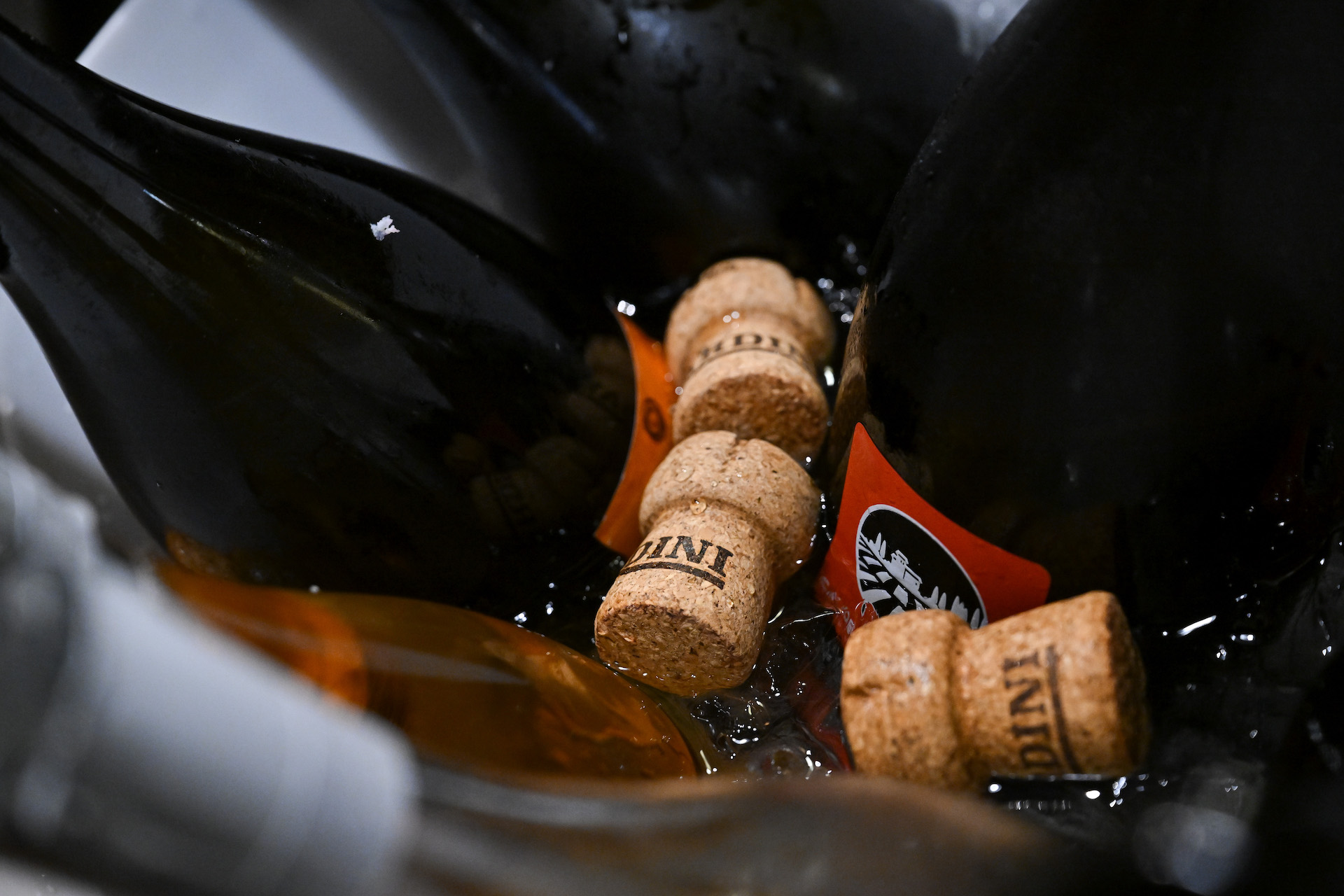 Lambrusco_header