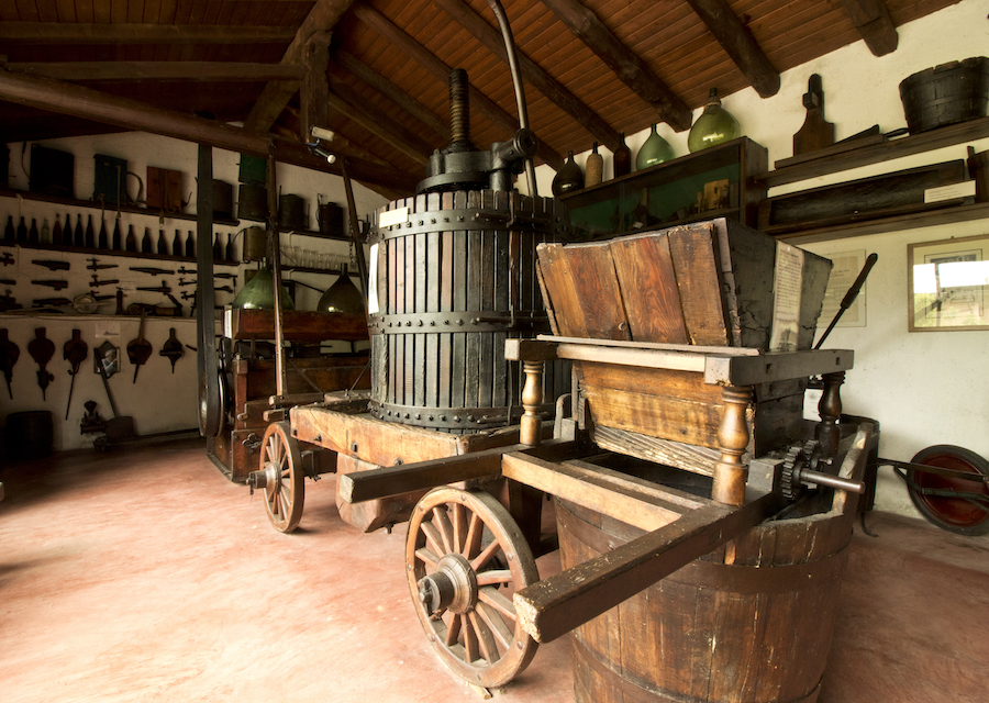 Sala Viticoltura ed Enologia ©Museo del Vino Ricci Curbastro 2_testo