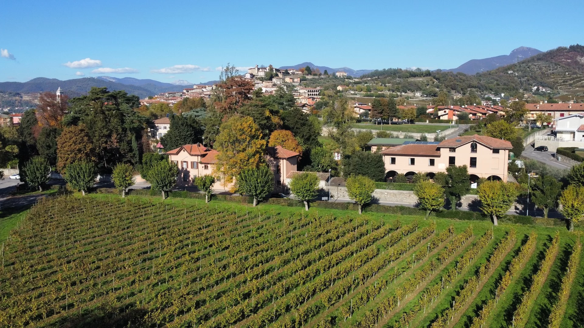 ricci curbastro_copertina