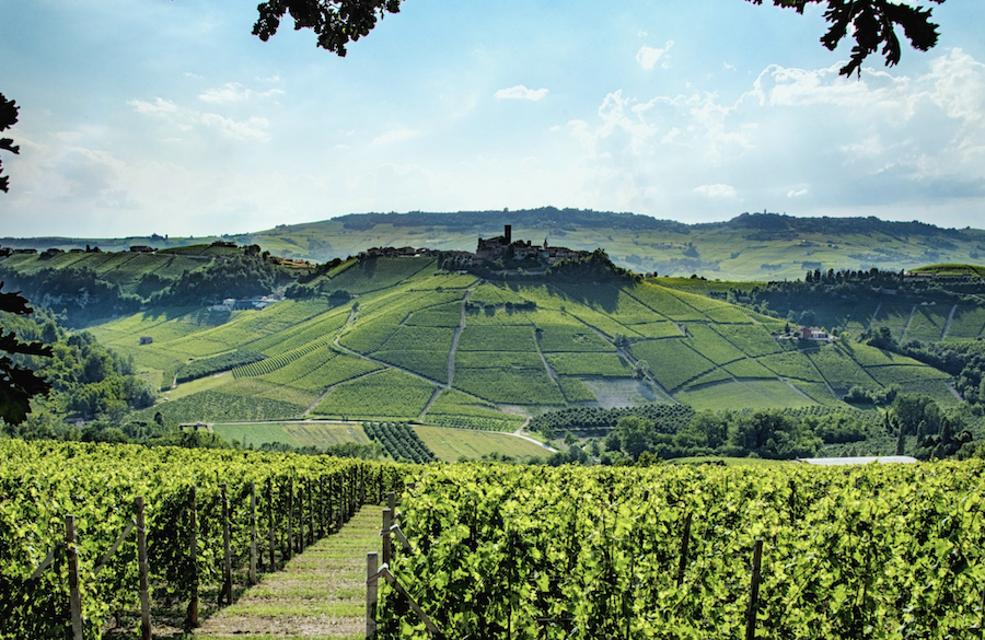 Grandi Langhe_testo4