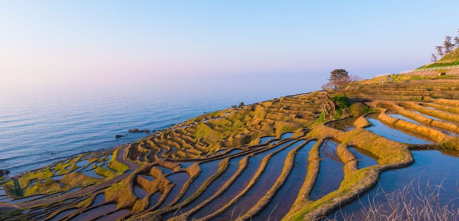 Sake abbinamento_testo3