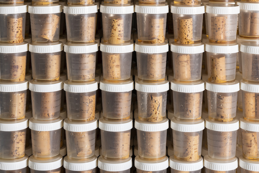 Sughero_criticità_italianCork_testo_evidenza