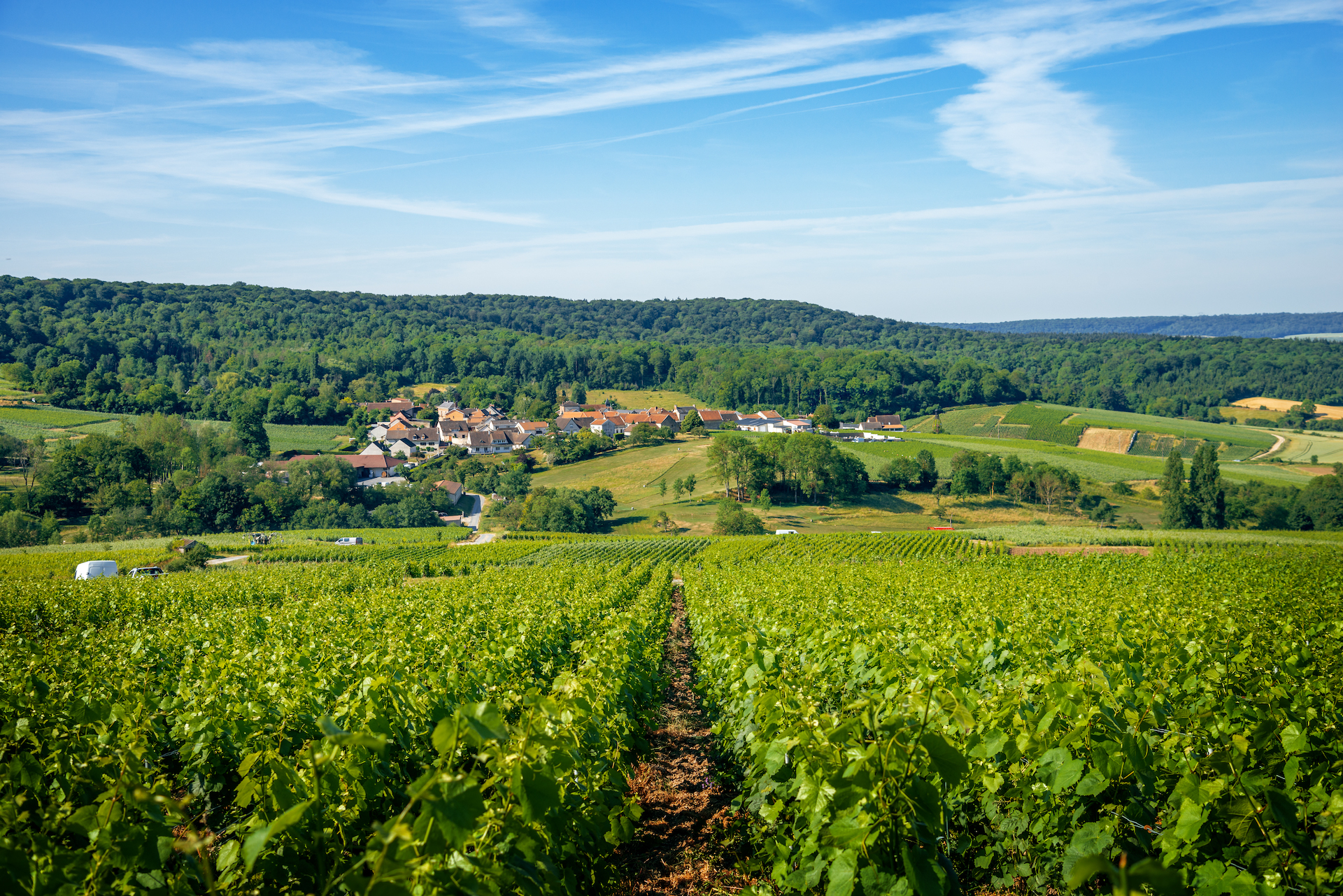 Copertina_tribaut schloesser champagne