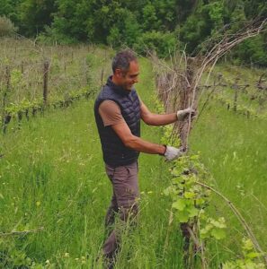 roberto Rondelli_rossese_evidenza