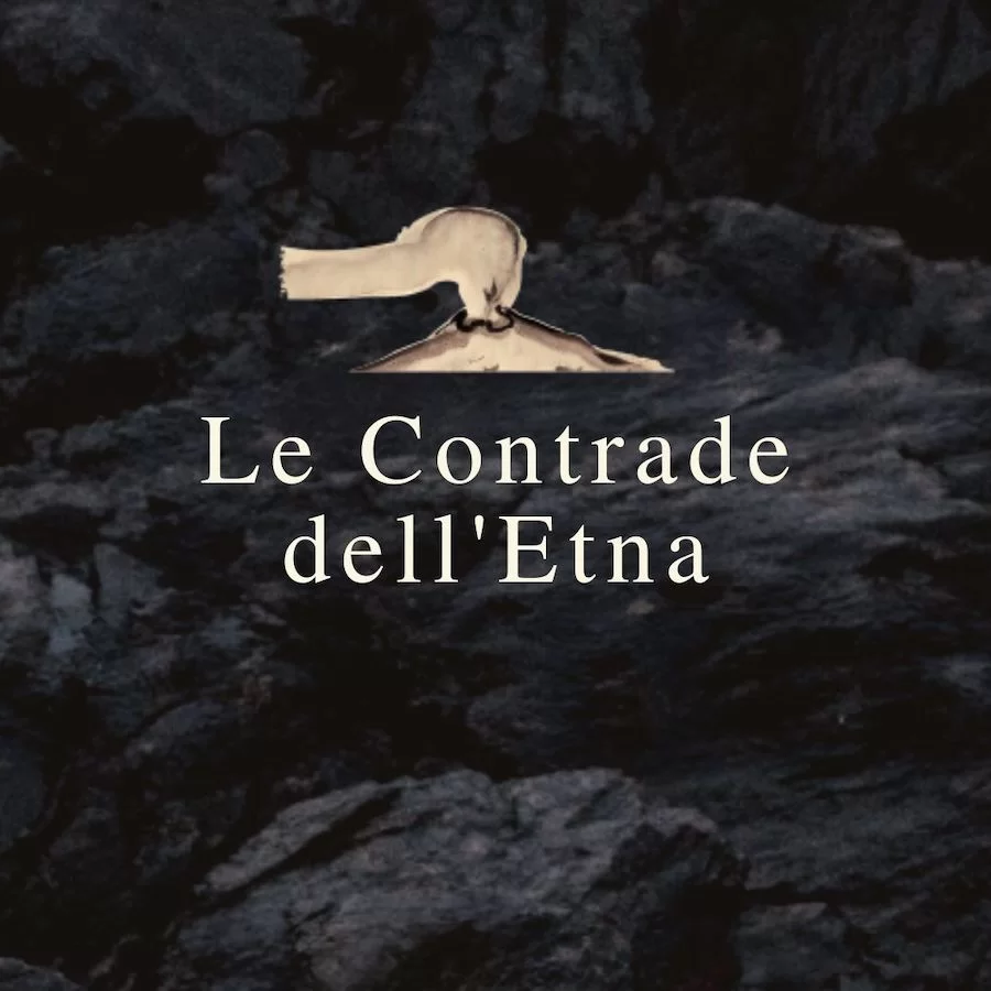 contrade etna 2024_evidenza
