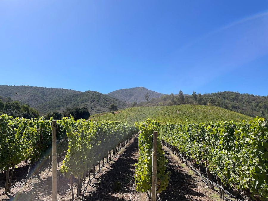 Cile, Valle Maipo_evidenza