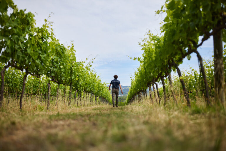 tenuta santi giacomo e filippo_evidenza