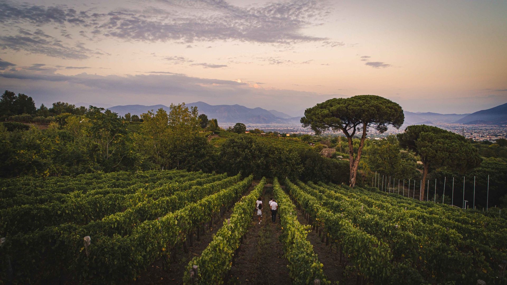 casasetaro_viniestate_rossi_copertina