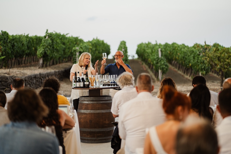 Bolle in Vigna_nicosia_evidenza