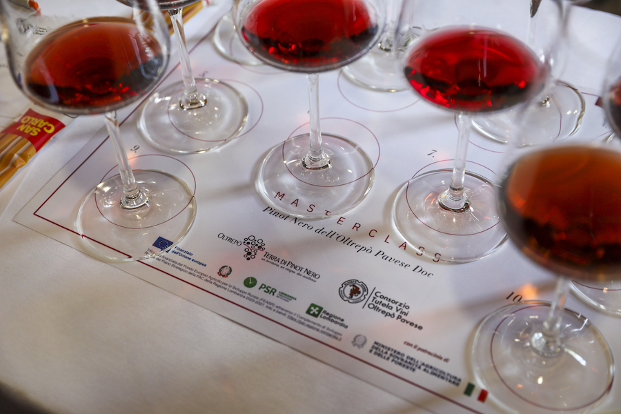 Oltrepò,pinotnero_testo