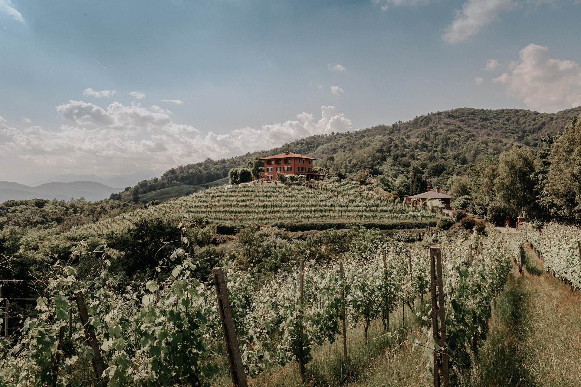 Taste Alto Piemonte_copertina