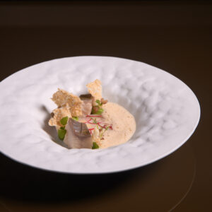 Salmerino, plancton, rapanello e salsa champagne_testo_bistrot_torino_napoli_