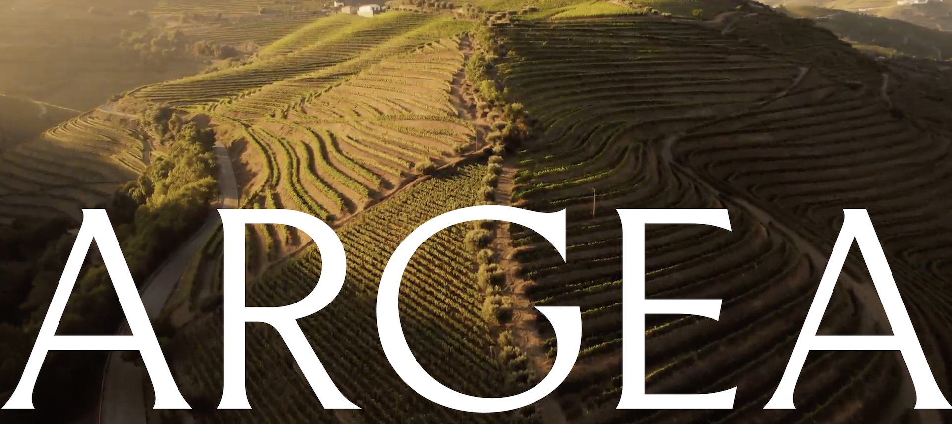 argea_copertina
