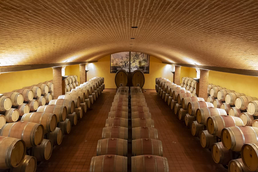 barriccaia_morellinodiscansano_testo