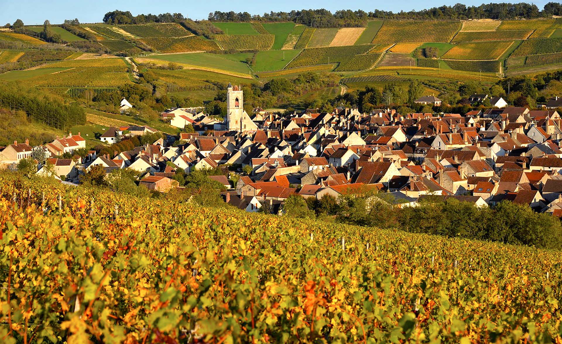 cremant de bourgogne_copertina_credits photo domaine clotilde davenne