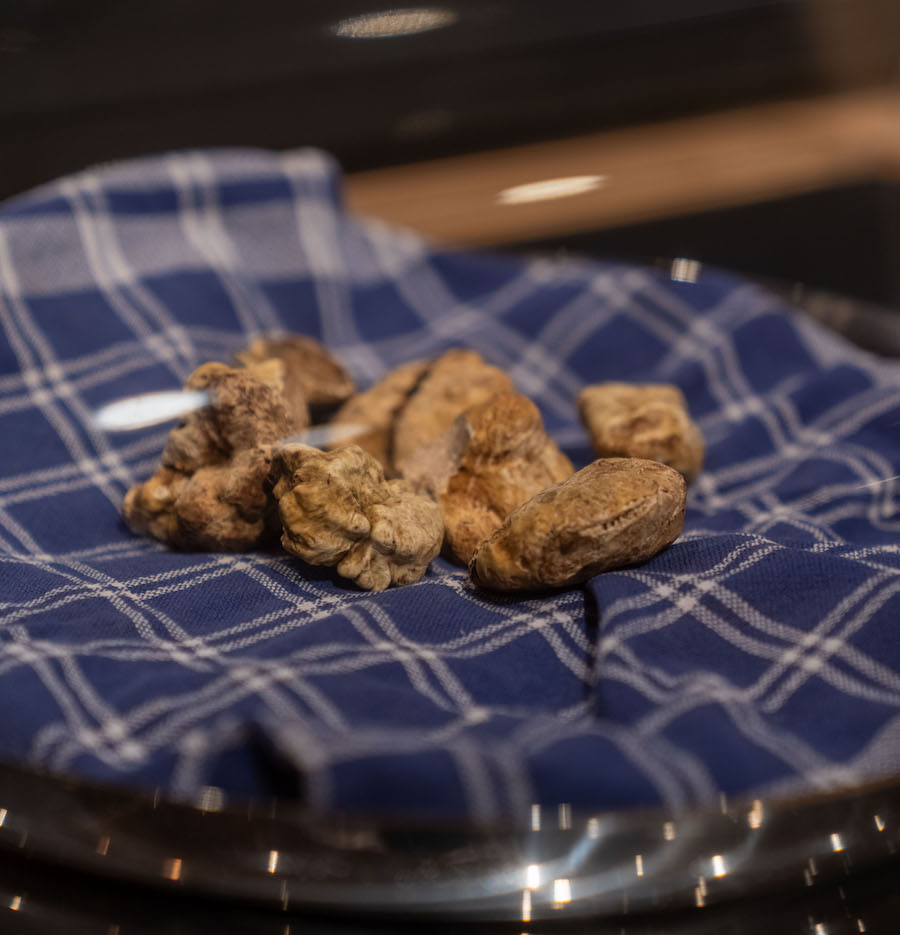 Tartufo Alciati_evidenza
