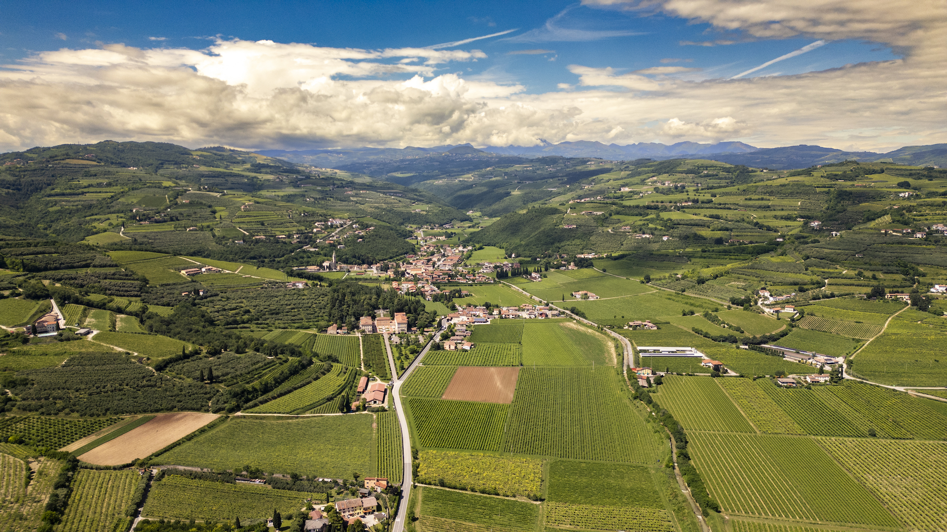 Vignaioli VALLE DI MEZZANE_copertina_jpg