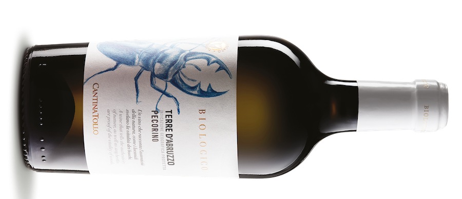 bio-pecorino terre d’Abruzzo§_cantina tollo_testo