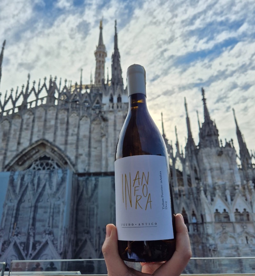 cantina tollo_evidenza_pecorino