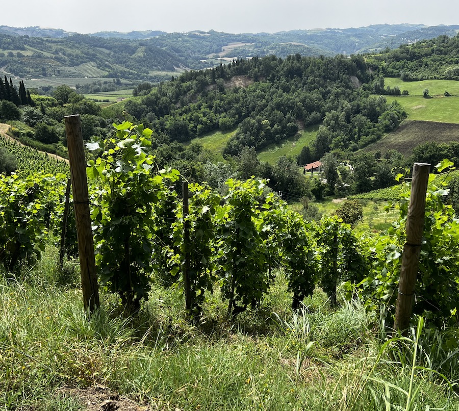 Maurizio Costa_evidenza