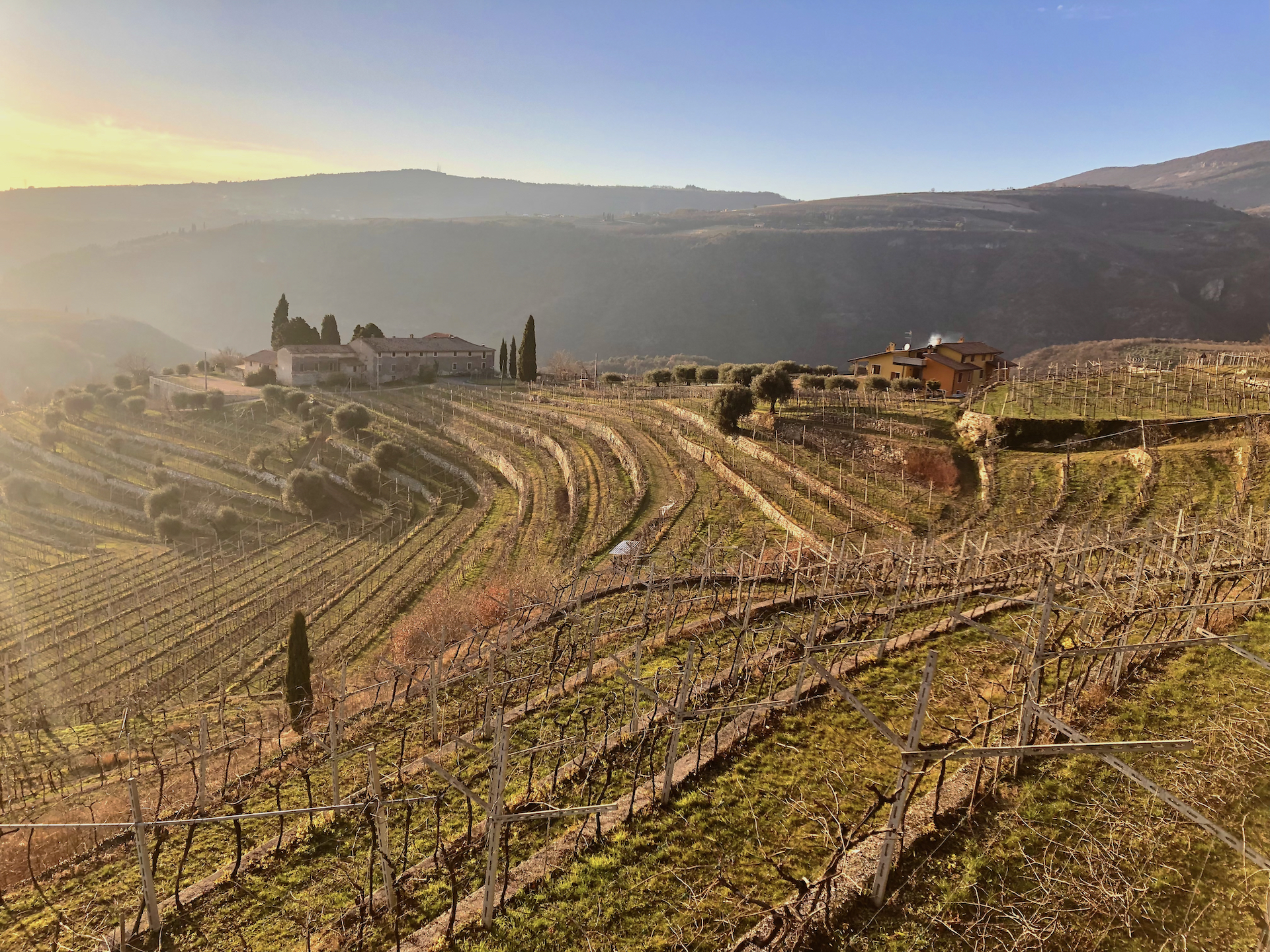 terre di leone_copertina_jpeg