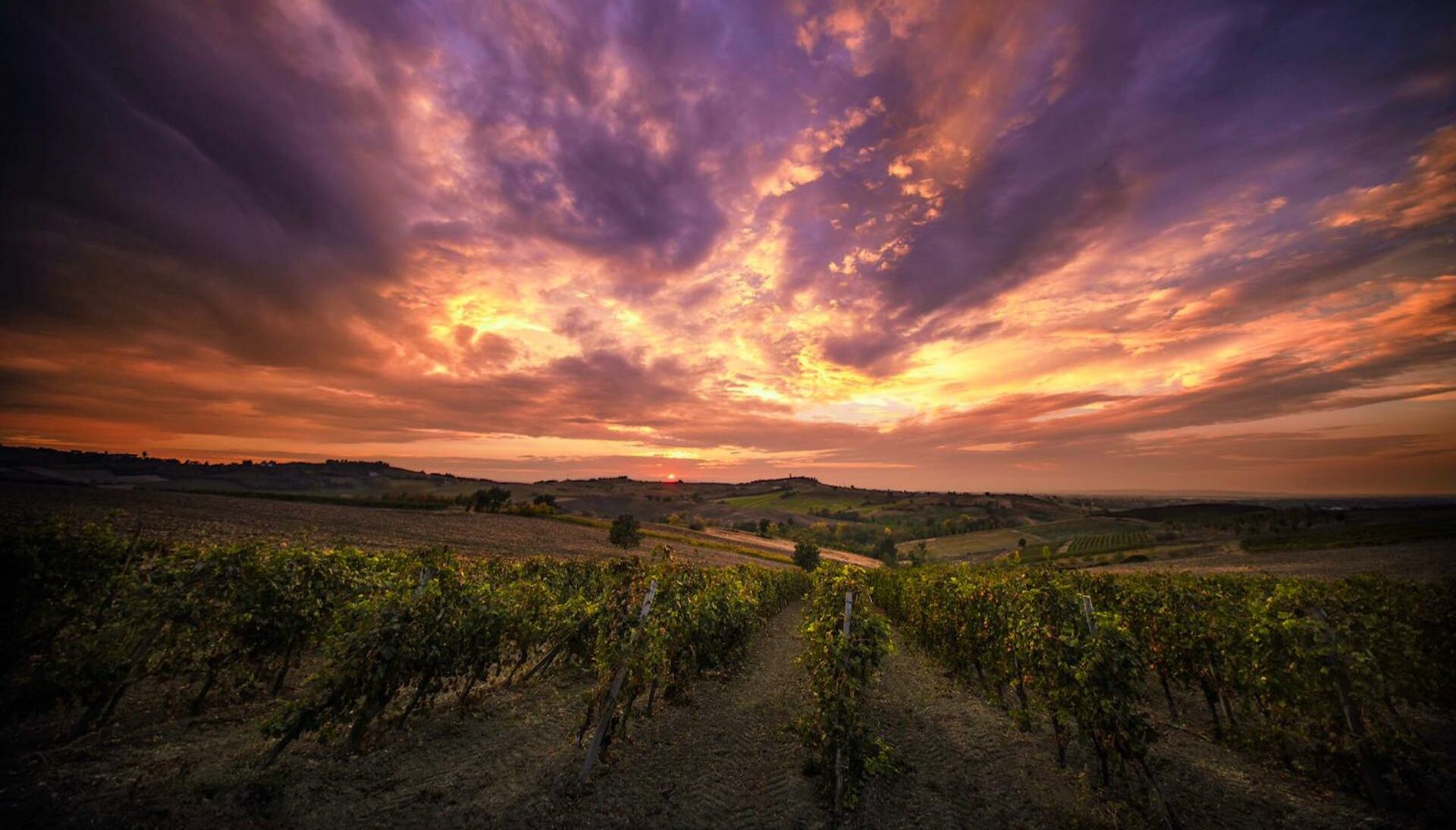 Derthona&Barolo_copertina_1_mantero sarezzano