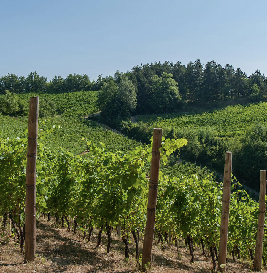 Isolabella della croce_eveidenza