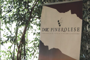 Doc pinerolose_torino doc_evidenza
