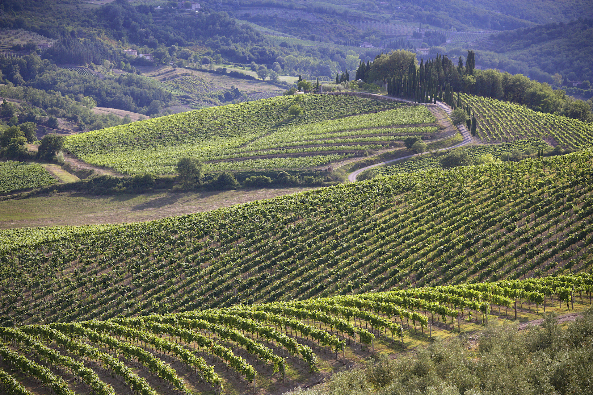 Chianti Classico Gallo Nero_copertina