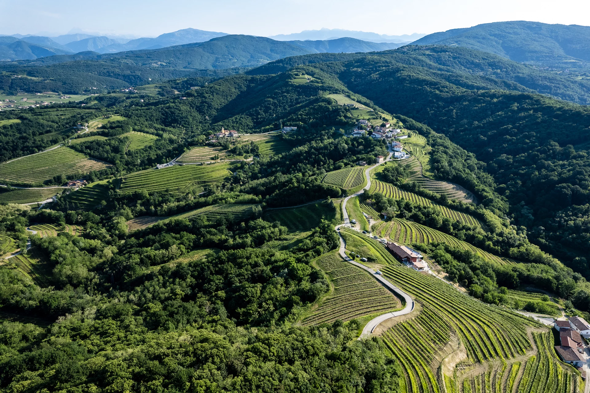 Tenuta Stella _territorio_copertina