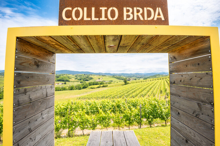 Friulano_Collio_evidenza