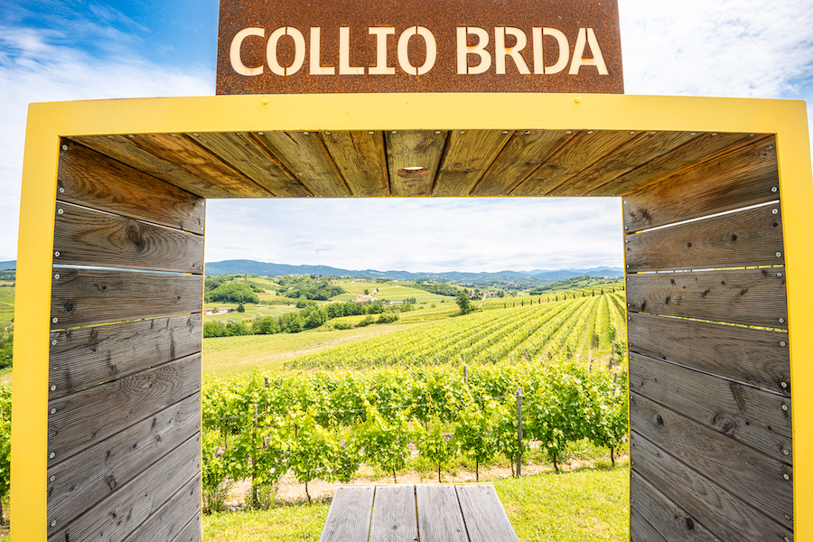 Friulano_Collio_evidenza