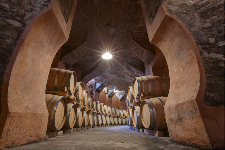 Marchesi Alfieri_evidenza