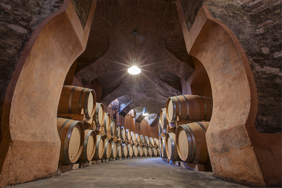 Marchesi Alfieri_evidenza