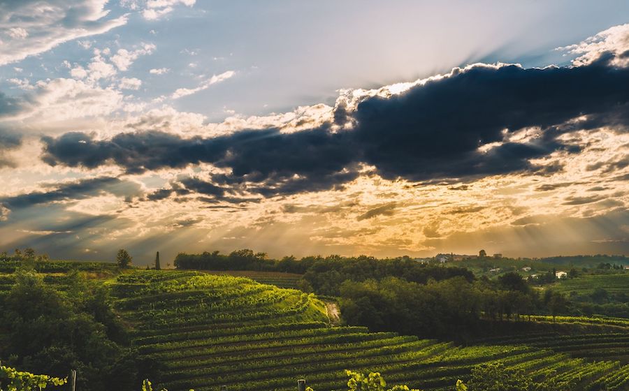 MarjanSimcic_evidenza1