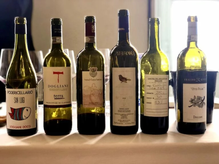 TerroirDogliani_testo