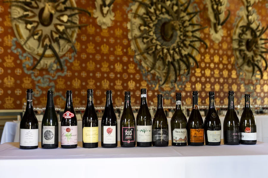 World lambrusco day_2025_testo_WLD_i 13 vini della Masterclass