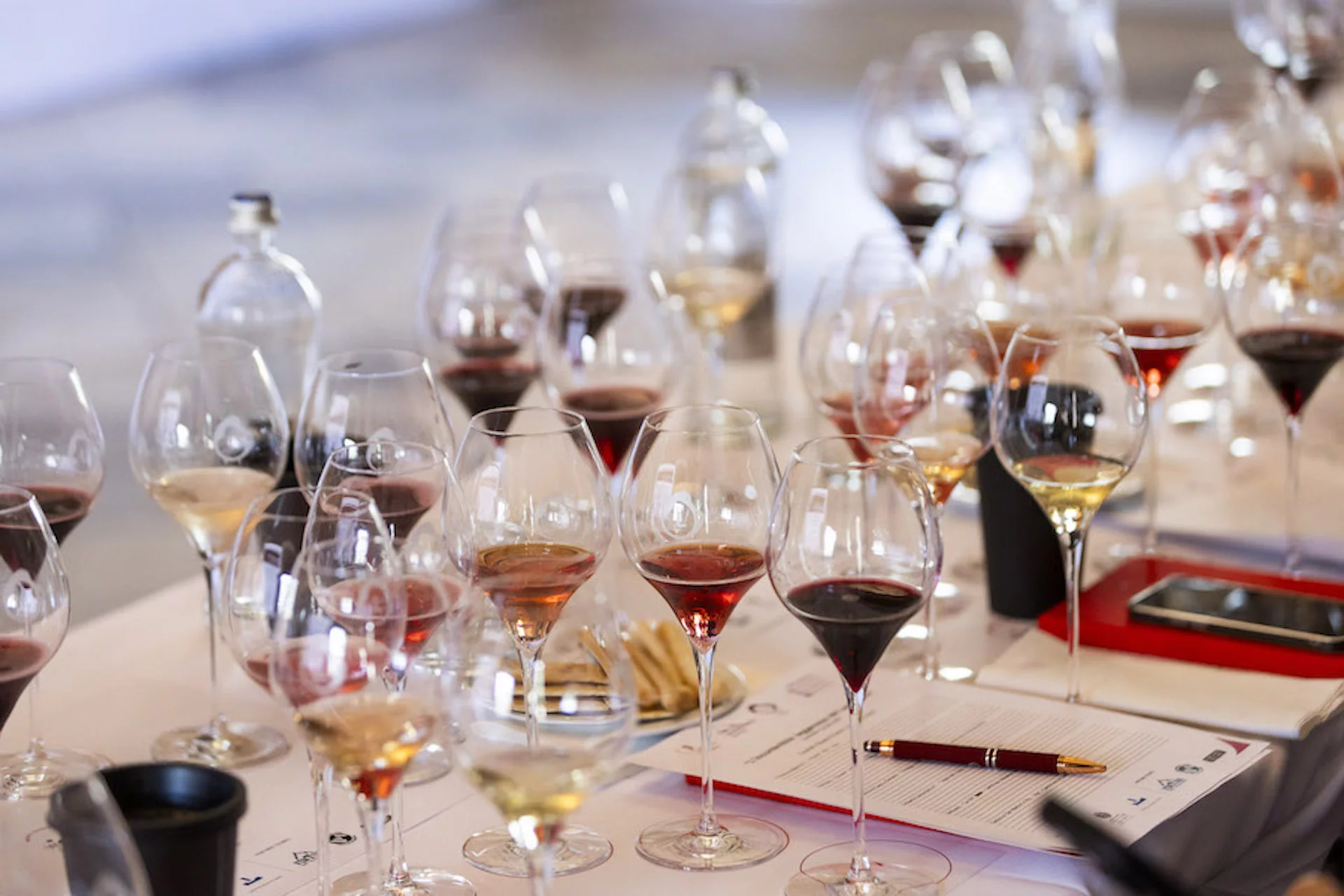 World lambrusco day 2025_copertina