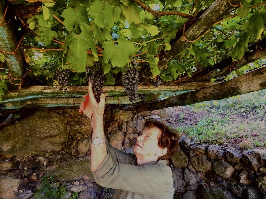 Carema denominazione_evidenza